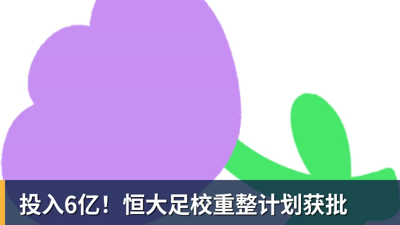 投入6亿!恒大足校重整计划获批